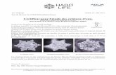 Certificat pour l'étude des cristaux d'eau. · 2018-03-27 · Masaru Emoto & M. Rasmus Gaupp-Berghausen ingénieur diplômé. Analyse des produits de la société Omhéga : La plaque