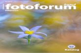 Pflanzen - fotoforum · 2017-01-08  · 6 fotoforum 4/2017 fotoforum Award / Pflanzen Sachpreise für die Machen Sie mit – es lohnt sich: Mit dem Punktesystem beim fotoforum Award