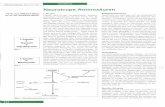 Ganzseitiger Faxausdruck - Neurolabneurolab.eu/wp-content/uploads/2012/06/Neurotrope_Aminosaeuren.pdf · bei der die PH genetisch defekt ist, ist Tyrosin aller- dings essentiell.