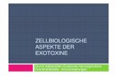 ZELLBIOLOGISCHE ASPEKTE DER EXOTOXINEelettan.eok.sote.hu/uploads/File/nemet/wahlkurs/Exotoxin...Antibiotika-assoziierten Kolitis Nosokomiale Infektionen Toxine A Toxin » Enterotoxin