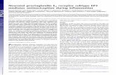 Neuronal prostaglandin E receptor subtype EP3 …Neuronal prostaglandin E2 receptor subtype EP3 mediates antinociception during inﬂammation Gabriel Naturaa, Karl-Jürgen Bärb, Annett