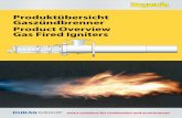 Produktübersicht Gaszündbrenner Product Overview Gas Fired ... · 6 Gas Fired Igniters Check List for an Igniter Inquiry 2/2 Please note: Not all of the options listed below are