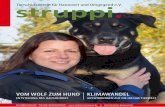 04 | 2014 struppi Tierschutzverein für Hannover und ......inhalt 14 24 10 ZUM TITELBILD: „DECOCO“ Der Rottweiler-Schäferhund (V 54944) ist bereits seit langem auf der Suche nach