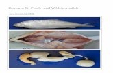 Jahresbericht 2009 - fiwi.vetsuisse.unibe.ch · Med. vet. Mirjam Pewsner [mirjam.pewsner(at)itpa.unibe.ch] Manuela Weber [manuela.weber(at)itpa.unibe.ch] Zentrum für Fisch- und Wildtiermedizin