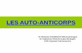 LES AUTO-ANTICORPS - Freesofomec11.free.fr/Diapos/BIO_MARQUEURS/synthese_autoanti...immunes non spécifiques d’organe (connectivites) • les anticorps anti tissus ou anti cellules