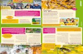 Startseite | Greenpeace - n d DS Rettet die Bienen · Kontakt, kann das ihrem Volk den Rest geben. Füttert sie den Nachwuchs nämlich mit belastetem Pollen und Nektar, entwickeln