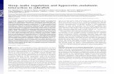 Sleep–wake regulation and hypocretin–melatonin interaction in · PDF file Sleep–wake regulation and hypocretin–melatonin interaction in zebrafish Lior Appelbauma,b, Gordon