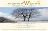 Das wedische Magazin . Januar 2010archiv.gartenweden-verlag.de/pdf/Gartenweden_Jan_10.pdf · 2015-08-20 · Garten Weden, das wedische Magazin Ausgabe 12 . Januar 2010 Editorial D