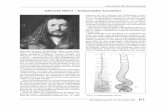 › bitstream › handle › 18452 › 7010 › 22... Albrecht Dürer – bedeutender GeometerGeschichte der Rechentechnik 62 RZ-Mitteilungen Nr. 22, November 2001 1505 reiste er nach