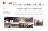PESTALOZZI ONLINE · Ausgrabungen bei Puruchuco Mai 2014 Jahr 6 – Ausgabe 2 PESTALOZZI ONLINE Inhalt: Besuch in Puruchuco 1 Besuch im Naturhisto-rischen Museum 2 Weltgesundheitstag