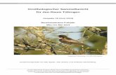 Ornithologischer Sammelbericht für den Raum Tübingen · Ornithologischer Sammelbericht Raum Tübingen Ausgabe 18 – Frühjahr 2014 3 Datensammlung für den nächsten Sammelbericht