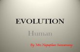 EVOLUTION•ค าว า 'มน ษย ' ในบร บทของการว ว ฒนาการของ มน ษย หมายถ งจ น ส โฮโม (Homo)