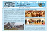 Mitteilungsblatt - Litzendorf · einfache Dorferneuerungsmaßnahme ist beim Amt für Ländliche Ent-wicklung in Bamberg zu stellen. Ebenso nimmt das Gremium von der Planung und Kostenschätzung