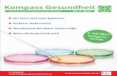 Kompass GesundheitKompass Gesundheit DAS MAGAZIN FÜR BADEN-WÜRTTEMBERG 6. Jahrgang  Nr. 2 2017 In Zusammenarbeit mit der Der Darm und seine Bakterien