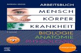 BIOLOGIE ANATOMIE · 2020-01-20 · arbeitsbuch mensch kÖrper krankheit barbara groos 8. auflage biologie anatomie a physiologie p p + po d c a s t e l s e v i e r p f l e g e