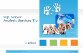 SQL Server Analysis Services Tipzalesia1.cafe24.com/down/zalesia_SSAS_Tip.pdf · 2017-02-16 · SQL Server Analysis Services Tip ... 지 으로 SQL 실행 태스크를 이용하여