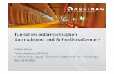 Tunnel im österreichischen Autobahnen- und …lamp3.tugraz.at/~tunnel2012/cms/images/stories/tunnel...zur Erfüllung des STSG Cluster 2 Erfordernis einer 2. Tunnelröhre aufgrund