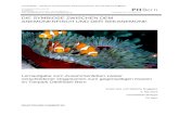 infodidaktik.ch · Web viewWährend manche Anemonen Fische, Krebse und Schnecken fressen, nehmen andere nur Plankton zu sich. Die Seeanemonen kommen in den tropischen und subtropischen