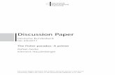 The Fisher paradox: A primer - Deutsche Bundesbank · comments, and John Cochrane and Johannes Pfeiffer for sharing their codes with us. Discussion Papers represent the authors' personal
