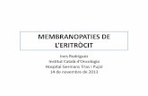 MEMBRANOPATIES DE L’ERITRÒCIT · MEMBRANOPATIES DE L’ERITRÒCIT InesRodríguez Institut Catalàd’Oncologia Hospital GermansTrias i Pujol 14 de novembrede 2013
