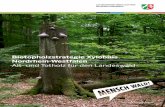 Alt- und Totholz für den Landeswald · 2019-03-06 · Alt- und Totholz für den Landeswald . ... J - Praktische Umsetzung 33 J-1 Kennzeichnung 33 J-2 Dokumentation 35 J-3 Allgemeine