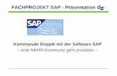 Kommunale Doppik mit der Software SAP – eine …misc.fh-kehl.de/Hochschultag/HST2011/PDF/19.pdfPSM HR Personal-wirtsch. Qual.-manage-ment PM Instand-haltung Personalwirtschaft Branchenlösungen