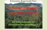 Entwaldung stoppen! Cero Deforestación · - 1 - Tingo Maria Problemdarstellung der Ausgangslage Das Projektgebiet ist bedroht von Abholzung und Vernichtung der Biodiversität mit