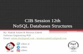 CIB Session 12th NoSQL Databases Structures · NoSQL Definition 4 From : •Next Generation Databases mostly addressing some of the points: being non-relational distributed open-source