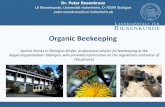 Organic Beekeeping - Uni Hohenheim · Peter Rosenkranz; Organic Beekeeping SS 2013 19 Life cycle of a honey bee colony Natural life cycle • Autumn: The colony prepares for wintering,