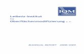 Leibniz-Institut · 2018-05-25 · The Leibniz-Institut für Oberflächenmodifizierung e. V (IOM), a member of the Leib-niz Association, presents this Biannual Report as summary of