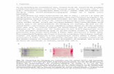 Für die Herstellung der verschiedenen Gvp -Proteine wurde Hfx. …tuprints.ulb.tu-darmstadt.de/881/2/Scheuch2.pdf · 2011-04-18 · 4. Ergebnisse 81 cGvpE his-Proteins konnte eine