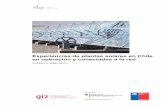 Experiencias de plantas solares en Chile en operación y … · de insumos locales y nacionales; v) la suciedad sobre las superficies colectoras y sus implicancias en la operación;
