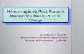 Dr Catherine FISCHER Département Anesthésie Réanimation ...mariade.ch-macon.fr/PublishingImages/Pages/2012/HPP... · Sonde urinaire Diurèse horaire Antibiothérapie Réchauffement
