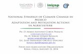National Strategy of Climate Change in Mexico Adaptation ......Mexico Adaptation and Mitigation Actions in Agriculture Ph. D. Mario Antonio Cobos Peralta cobos@colpos.mx Ph. D. Sergio