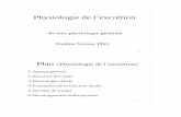Physiologie de l’excrétiondrpneveu.free.fr/images/PhysioPNeveu02Excr.pdf · 2018-10-16 · 1 Physiologie de l’excrétion Pauline Neveu, PhD cours physiologie générale 2 Plan