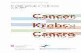 Stratégie nationale contre le cancer · 3 juillet 2013. Sur la base des champs d’action, objectifs et mesures défi nis dans le Pro- gramme national contre le cancer 2010 –2015,