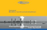 Smart Boiler instrumentation - IGEMA Mess- und Regeltechnik · 4 IGEMA-Boiler instrumentation / IGEMA-Dampfkesselüberwachung IGEMA-Boiler instrumentation IGEMA Dampfkesselüberwachung