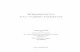 MEMBRANE RAFTS IN PLANT PATHOGEN INTERACTIONSkups.ub.uni-koeln.de/2888/1/Dissertation_-_Nana_F._Zappel... · 2011-03-28 · 1.4 Membrane rafts in biotic interactions 7 1.5 Membrane