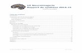UE NeuroImagerie Rapport de synthèse 2014-15 ... très axée sur la méthodologie employée (71% du temps) et moins sur les résultats. Concernant ce dernier thème, seule la partie