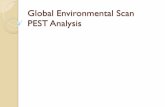 Global Environmental Scan PEST Analysisbmitclasses.weebly.com/uploads/1/3/7/3/13732654/... · international business (PEST) Review ! What are the 3 types of market ... Laws that impact