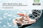 100 Betriebe für Ressourceneffizienz · 2017-01-17 · Auszug aus M. Schmidt et al. (2017): 100 Betriebe für Ressourceneffizienz. Band 1 – Praxisbeispiele aus der produzierenden