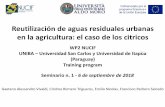 Presentación de PowerPointReutilización de aguas residuales urbanas en la agricultura: el caso de los citricos WP2 NUCIF UNIBA –Universidad San Carlos y Universidad de Itapùa(Paraguay)