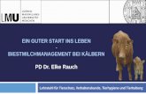 PD Dr. Elke Rauch - uni-muenchen.de · 2019-05-10 · Einleitung 2 • Kälbersterblichkeit liegt weltweit bei 10 –15 %, betriebsabhängig auch höher (Kaske, 2012)•Durchfall