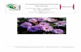 Zierstauden - Schulbiologiezentrum Staudenliste Photo-Ve…  · Web viewDer Katalog wurde mit „Word 2000“ für Windows erstellt. ... B1-2 D 60 weiß e V - VI 5 II ... FS D 40/120