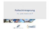 Schweinfurt Fallschirmsprung GO final · 0036 POL Flüge der Polizei 0020 RESCU Rettungsflüge 3701/3702 3703/3704 VFS/VFW VFM/VFN VFR-Flug bei FIS Langen 3707 CR Flights crossing