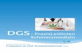 DGS - PraxisLeitlinien Schmerzmedizin · DSL DGS - PraxisLeitlinien Schmerzmedizin DGS HILFSMITTEL FÜR DIE TÄGLICHE PRAXIS Cannabis in der Schmerzmedizin v1.0