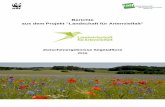 Berichte aus dem Projekt Landschaft für Artenvielfalt€¦ · Evaluation der Segetalflora: Stand Dezember 2016 6 Ergebnisse Nachfolgend werden die Ergebnisse in Bezug auf den Vergleich