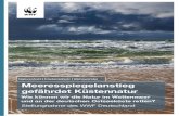 Naturschutz | Küstenschutz | Klimawandel ... · 3 Stellungnahme des WWF Deutschland zu Meeresspiegelanstieg an Ostsee und Wattenmeer Natur an der Küste gefährdet Das weltweit einzigartige