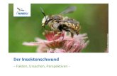 –Fakten, Ursachen, Perspektiven€¦ · Wildbienen können im Vergleich zu Honigbienen: • schneller bestäuben (etwa doppelt so viele Blüten in der selben Zeit wie Honigbienen)