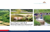 Leitprojekt Biotopverbund - Hamburg Metropolitan Region€¦ · Handlungsbedarf besteht in Form einer stär ke-ren länder- und gemeindeübergreifenden Ab - stimmung und bei der Umsetzung